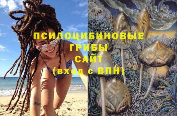 прущий лед Аша