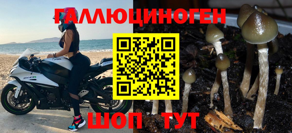 Псилоцибиновые грибы мухоморы Зеленокумск